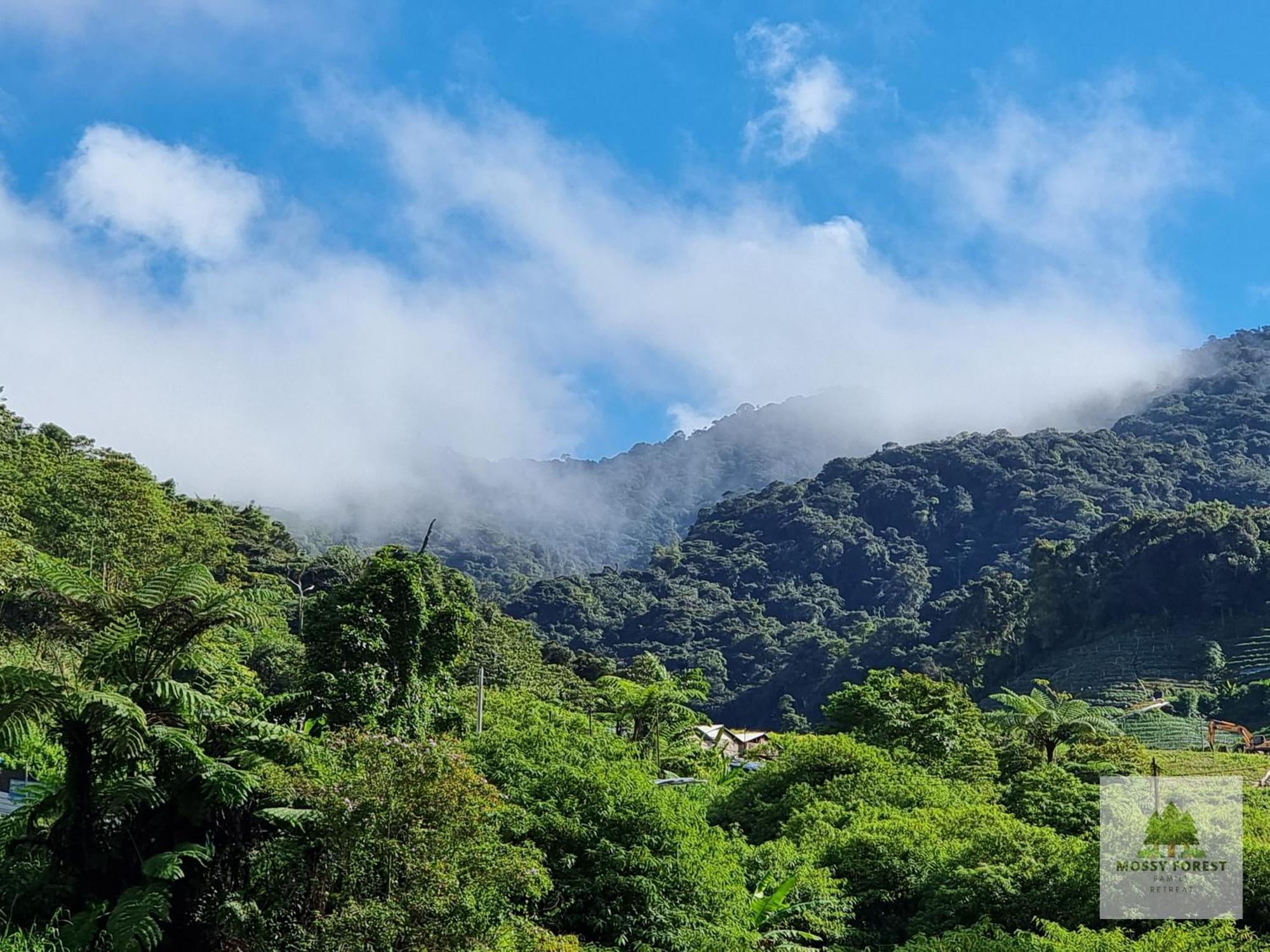 Mossy Forest Family Retreat Ii, 2-8 Pax, Cameron Highlands Exterior foto